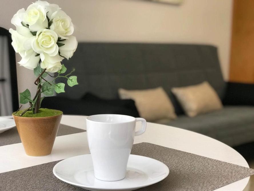 Del Cura Beach Apartment Torrevieja Dış mekan fotoğraf
